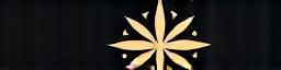 Tenmei Compass Logo